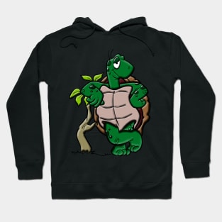 Cool Turtle Hoodie